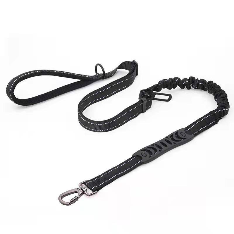 Leash with seatbelt