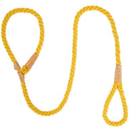 Leash & Collar in 1