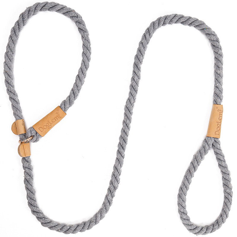 Leash & Collar in 1_4