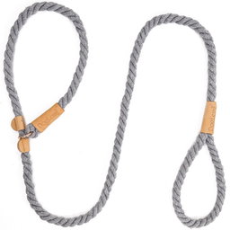 Leash & Collar in 1
