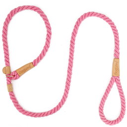 Leash & Collar in 1