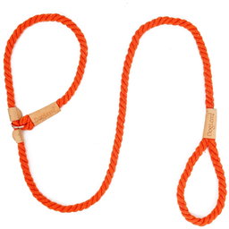 Leash & Collar in 1