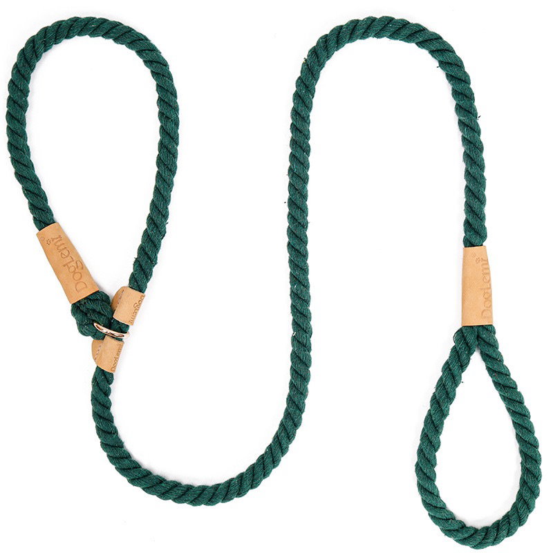 Leash & Collar in 1_3