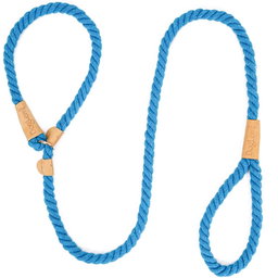 Leash & Collar in 1