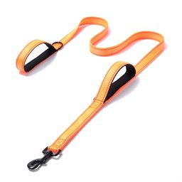 Leash with handle
