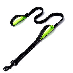 Leash with handle
