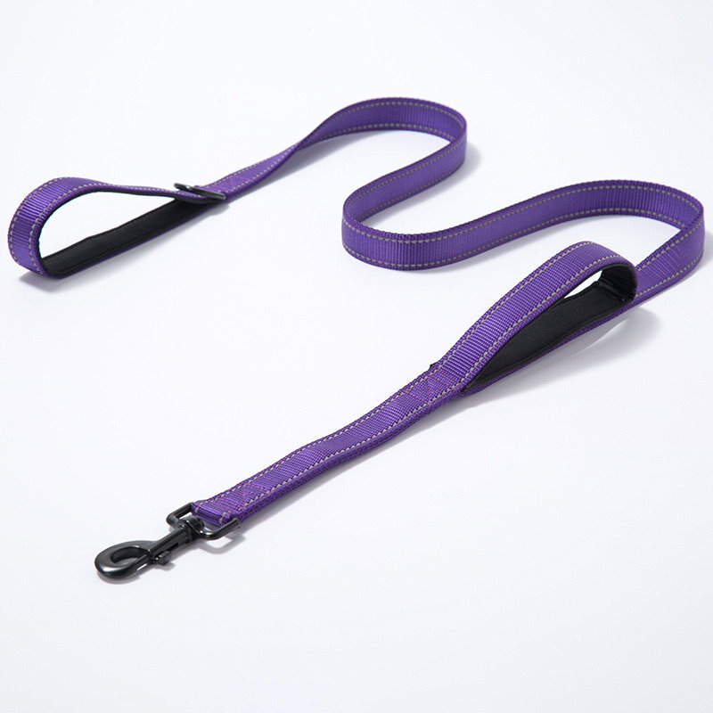 Leash with handle_1