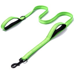 Leash with handle