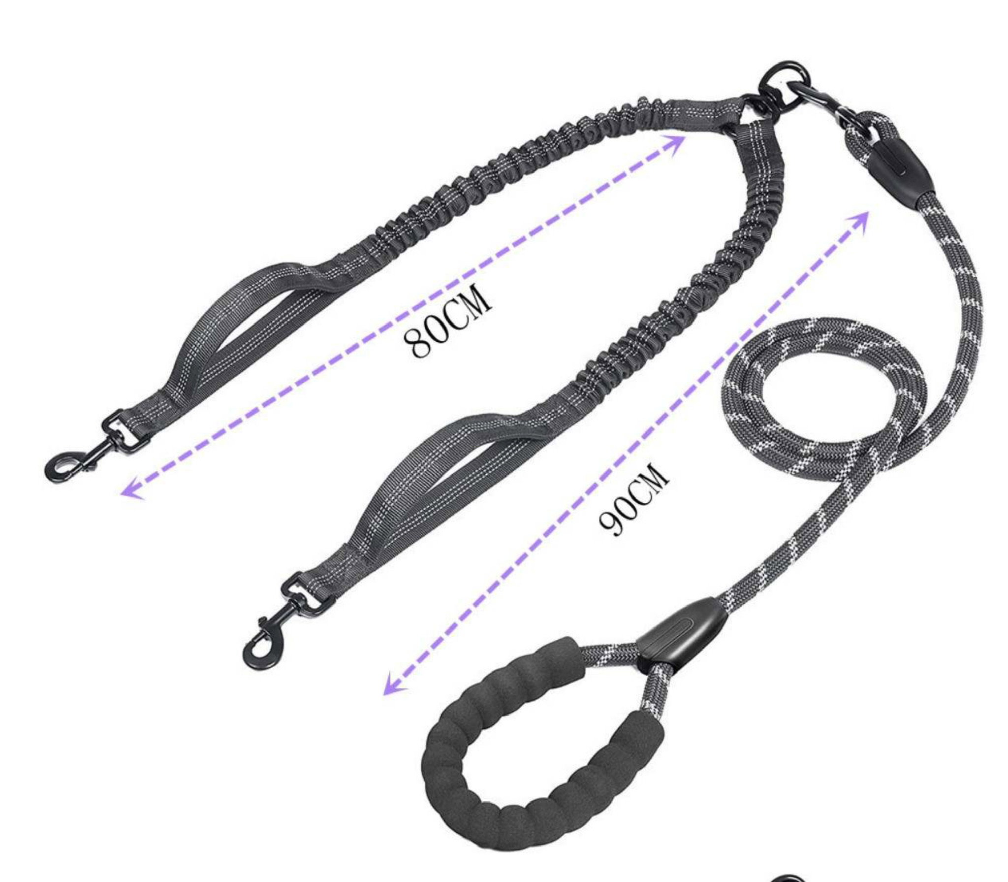 Dual Leash_3