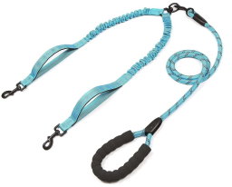 Dual Leash