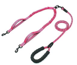 Dual Leash