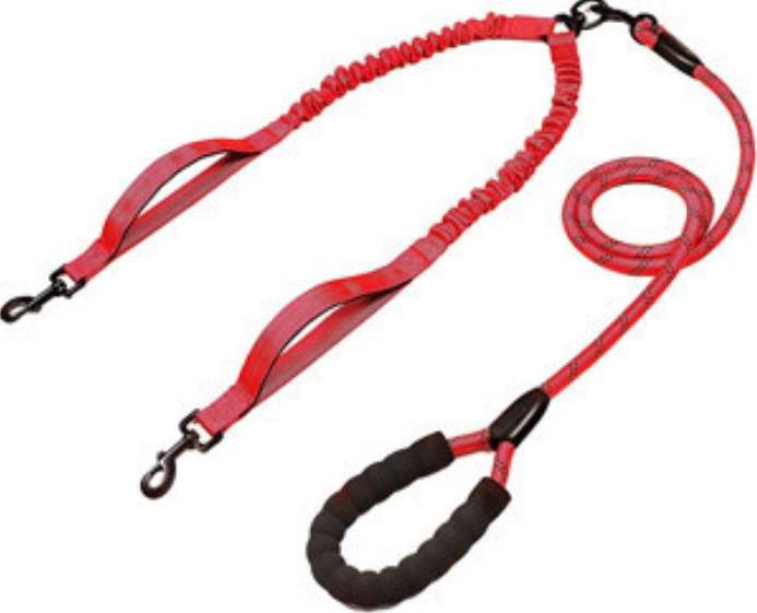 Dual Leash_2