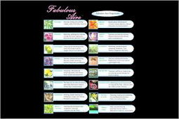 Air purifier oil fragrances - 250ml