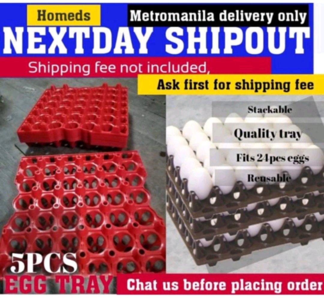 5pcs Egg tray
