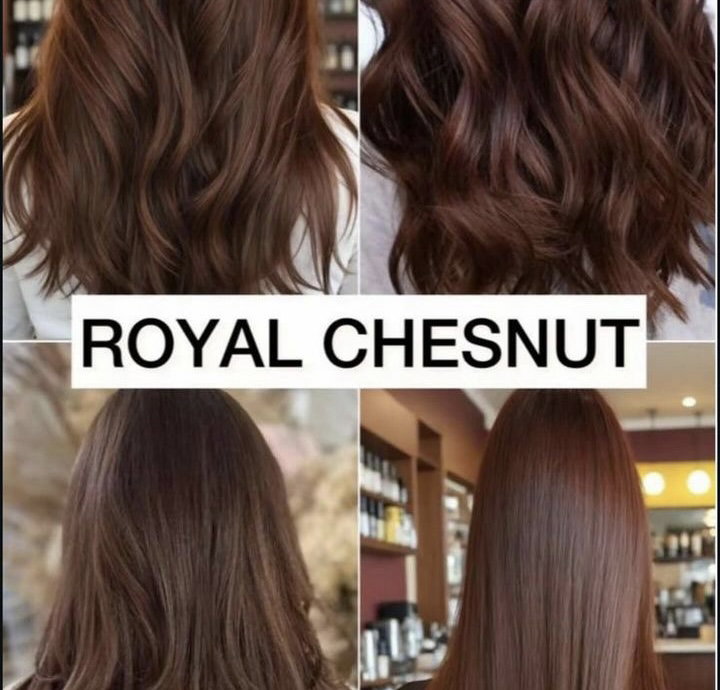 ROYAL CHESTNUT (πππππππ ππππππ)
