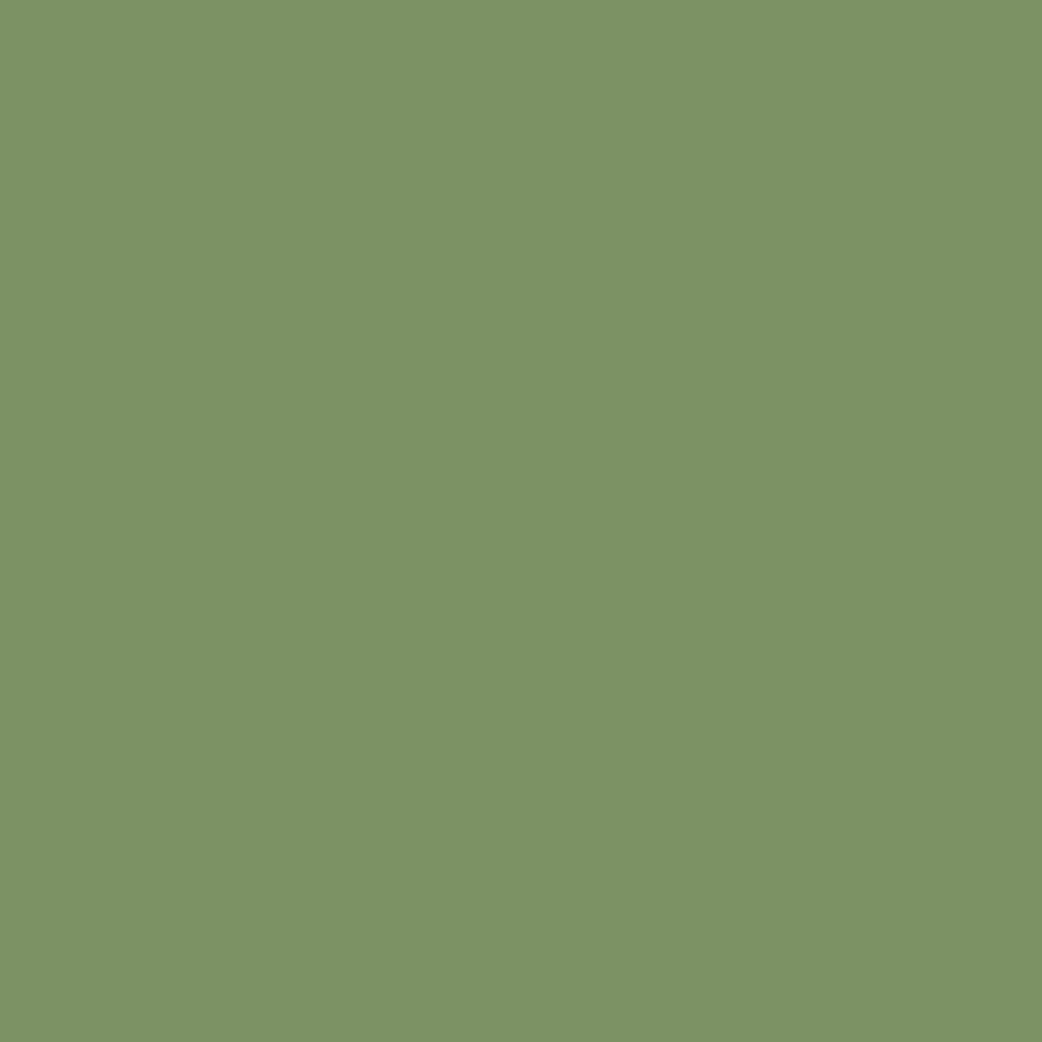 Verdant💚_0