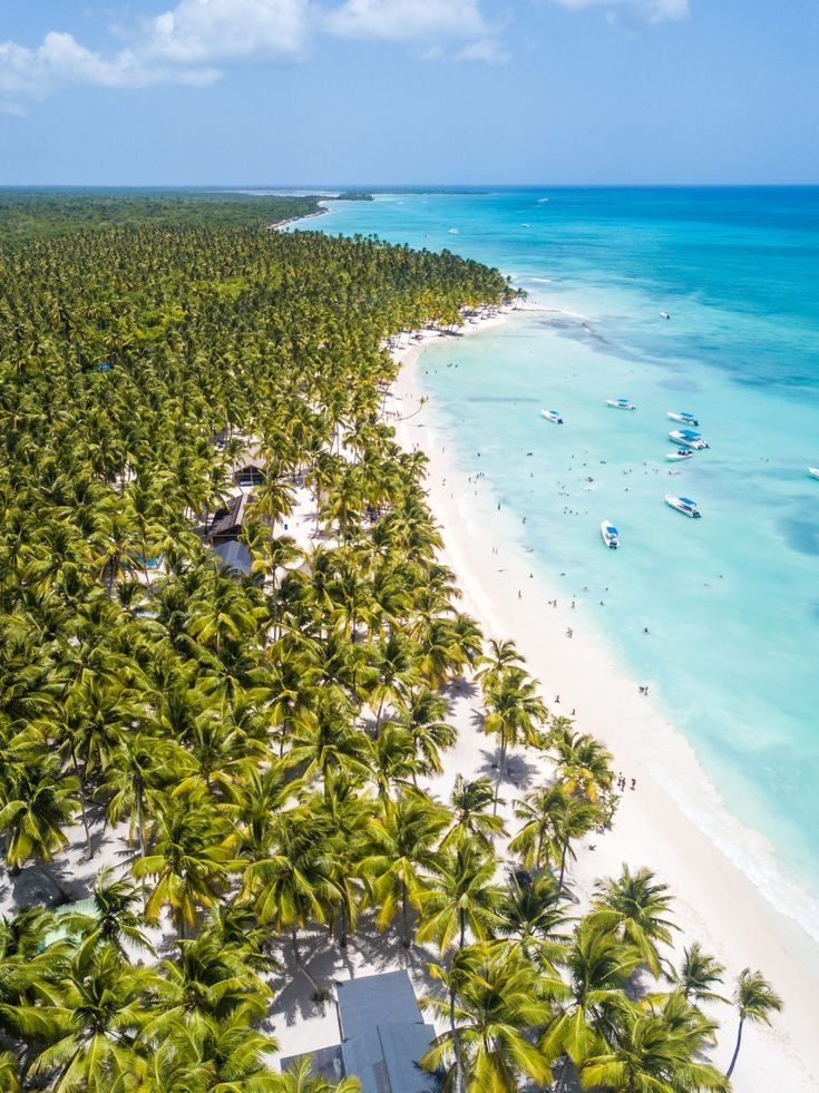 Saona Island Tour