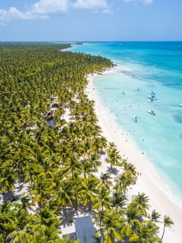 Saona Island Tour