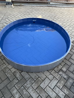 Dog Pool M