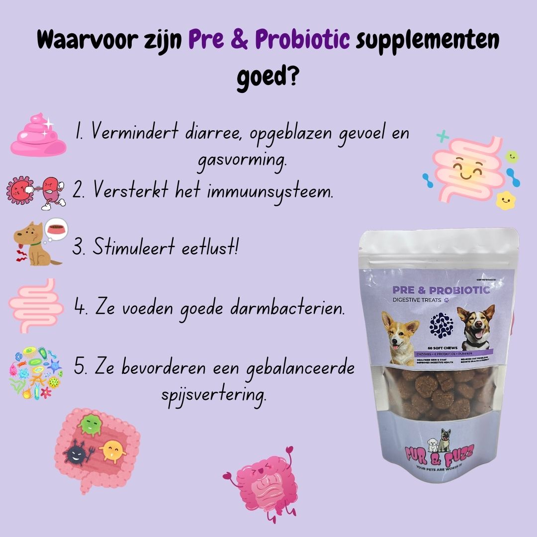 Pre & Probiotic Chews 30pcs_1