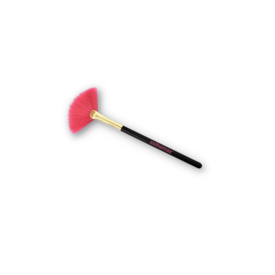 Esthemax Fan Brush_0
