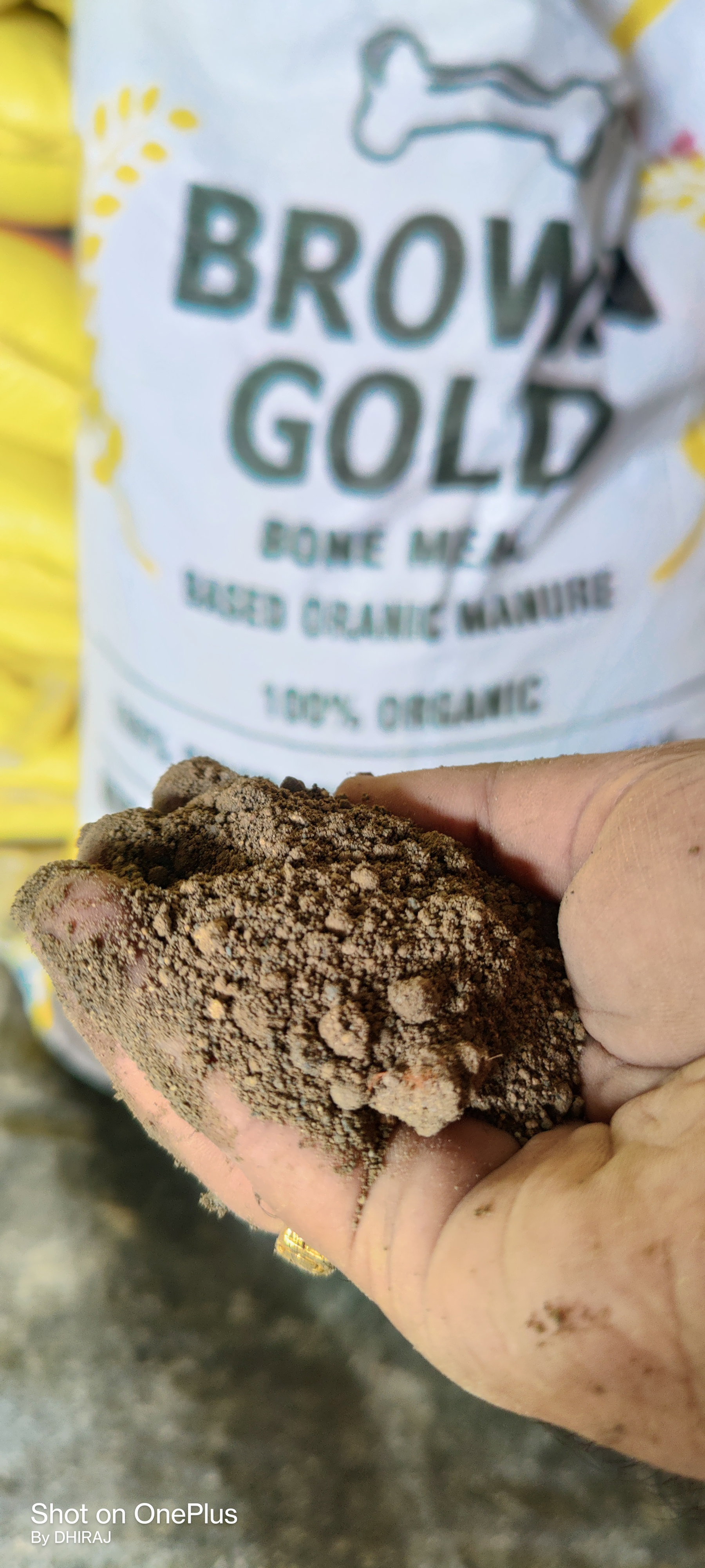 Pure Bone Meal Powder _0