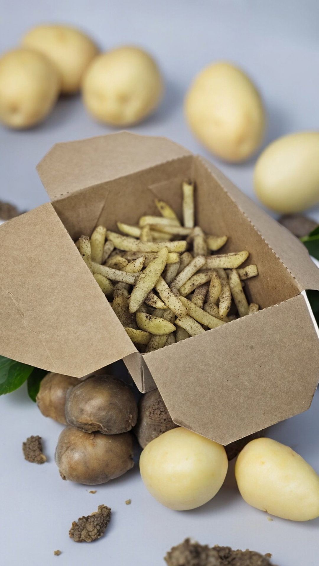 Truffle Fries