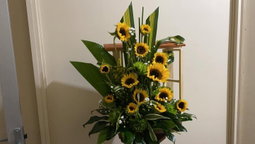 Ventana de 15 girasoles 