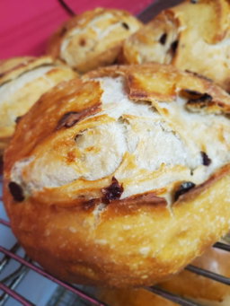 Cranberry Sourdough