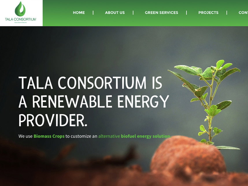 Web Design _1