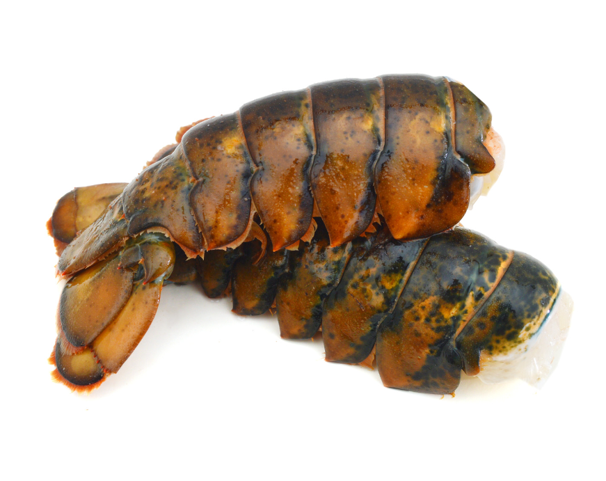 Lobster Tail (Per Piece)