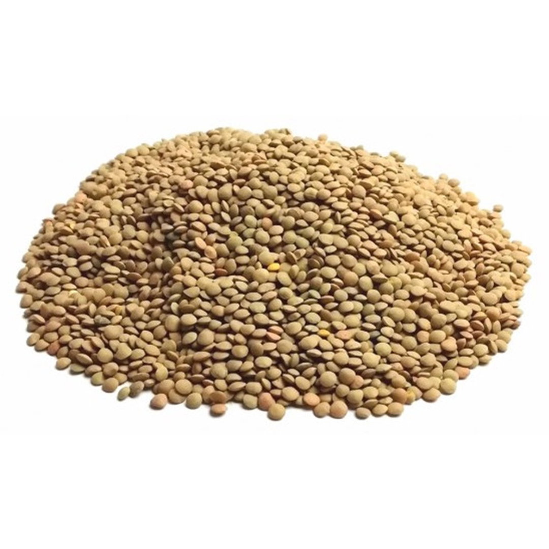 lenteja baby 1kg