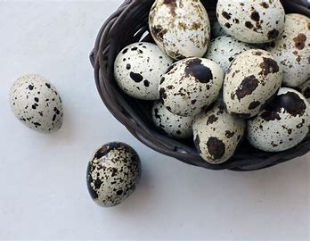 huevos de codorniz_0