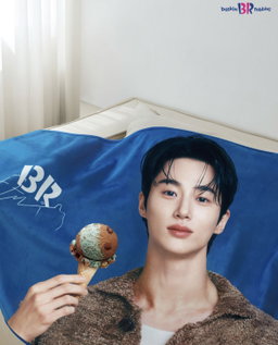 Byeonwooseok x Baskin Robbins Blanket