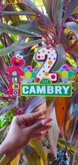 Personalized Cake Toppers (3D)