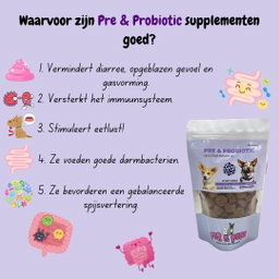 Pre & Probiotic Chews 120pcs