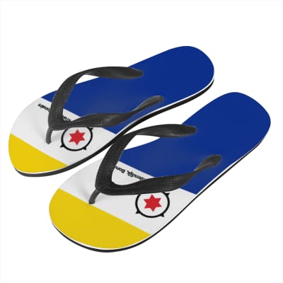 2024100610 Flip flop_0
