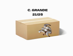 X CAJA DE CAMARON GRANDE (21/25)  KG VARIABLE (20,22 o 24 KG)