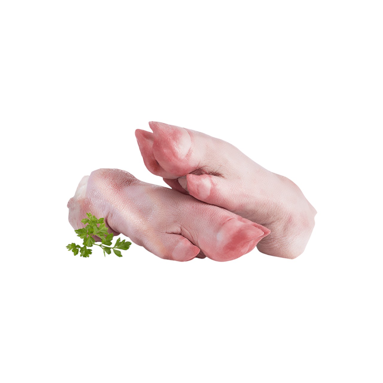 - MANITAS DE PUERCO X KG ( GRANEL)_0
