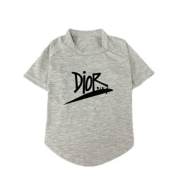 Dior Shirt Grey