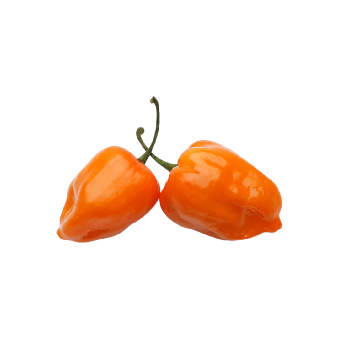 W CHILE HABANERO 200 GRAMOS