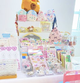 Wire organizer