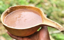 Uji Power