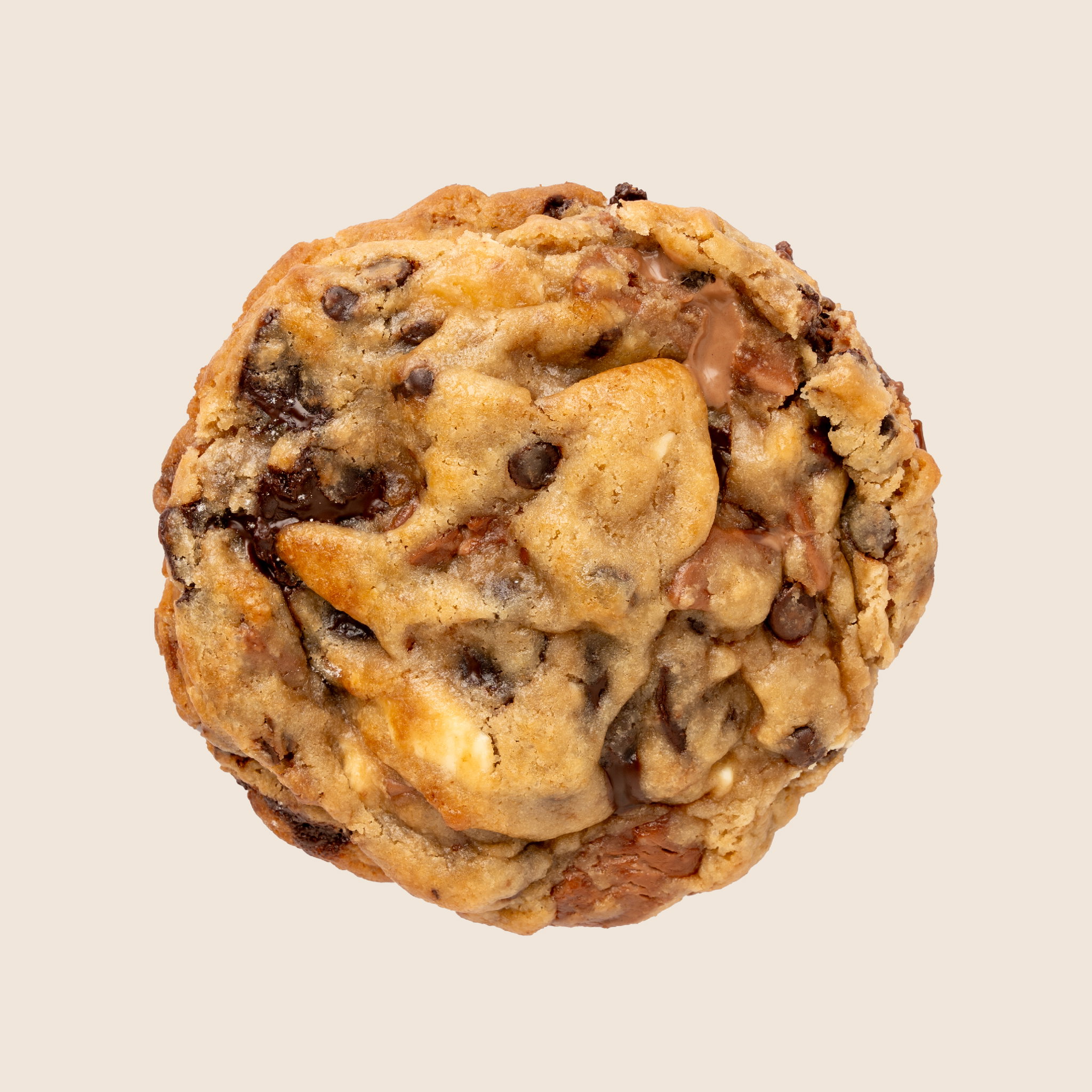 Nutella Chocolate Chip_0