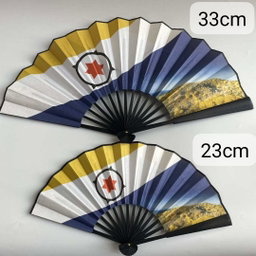 2024100638 Hand Fan 33cm