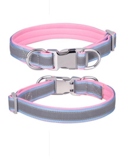 Reflective Collar_1