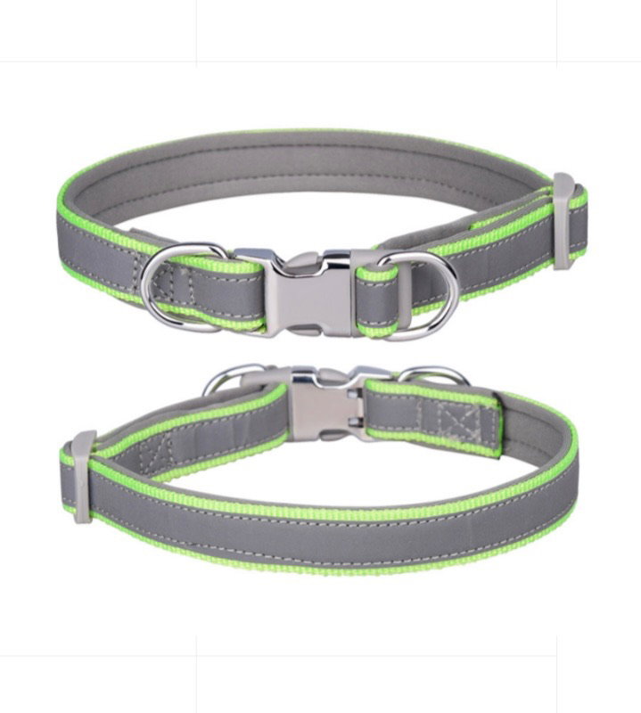 Reflective Collar