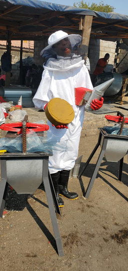 Bee suit