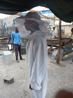 Bee suit