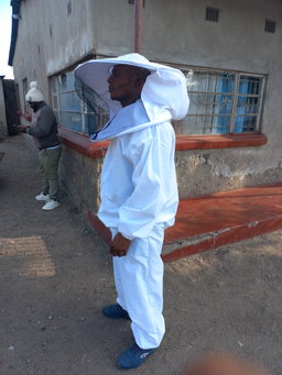 Bee suit